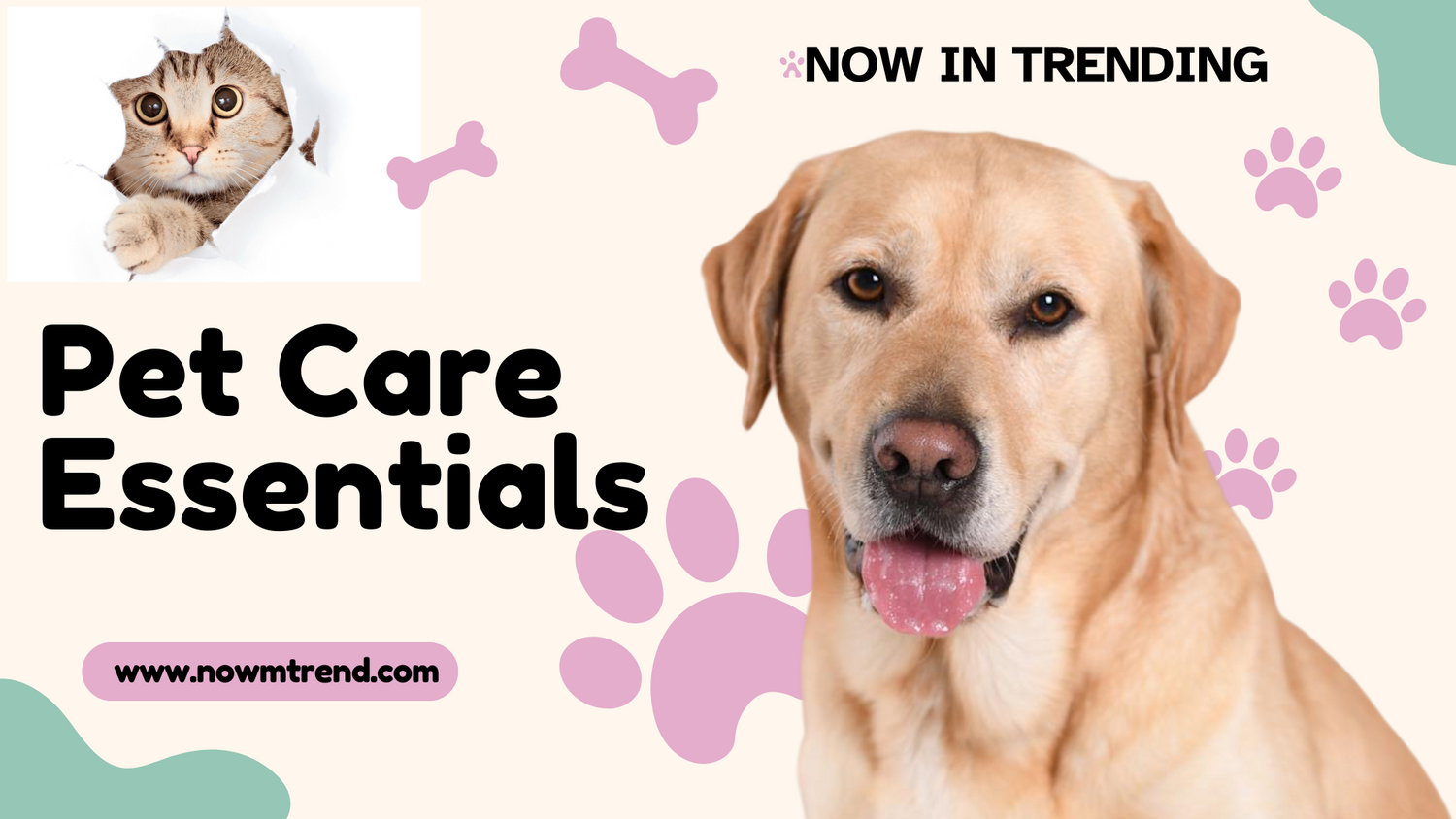 Pet Essentials
